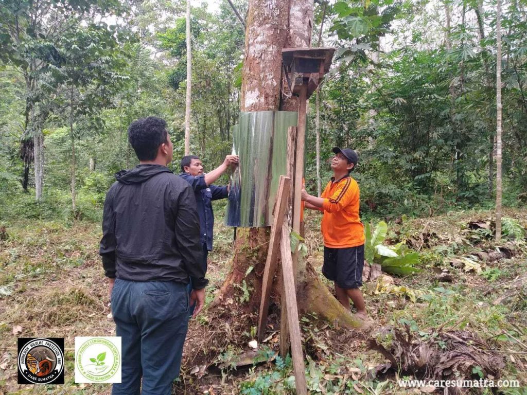 reduce human-wildlife conflict - orangutan project