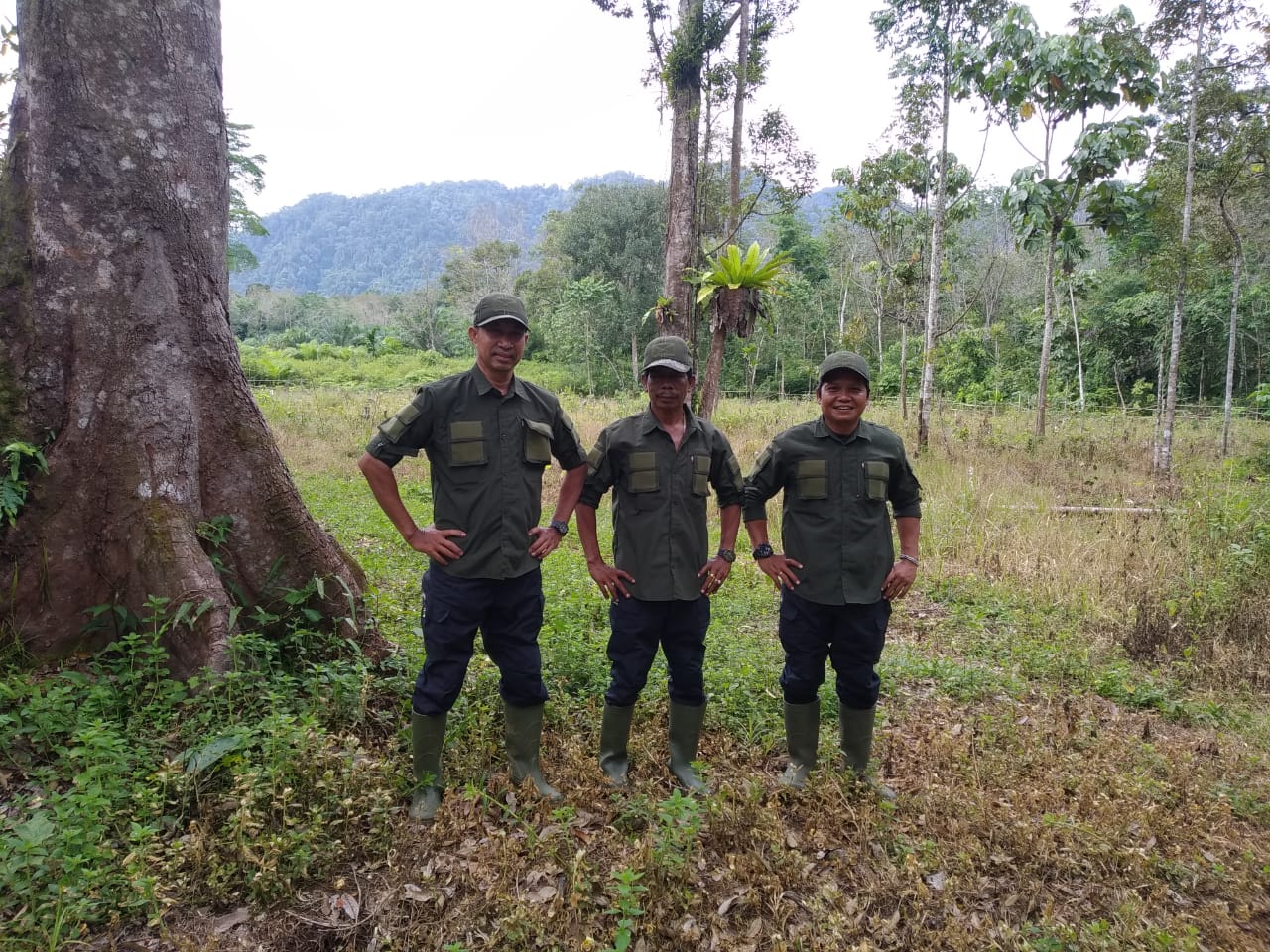 ranger program Sumatra