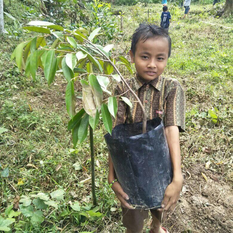 Restore nature in Sumatra