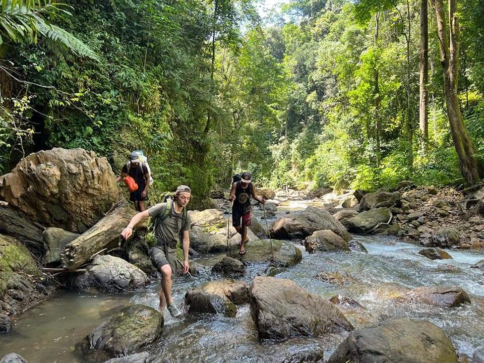Trekking in the Sumatran Jungle