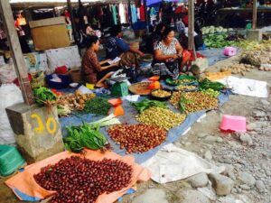 Local fruit and vegetable markets in Sumatra
