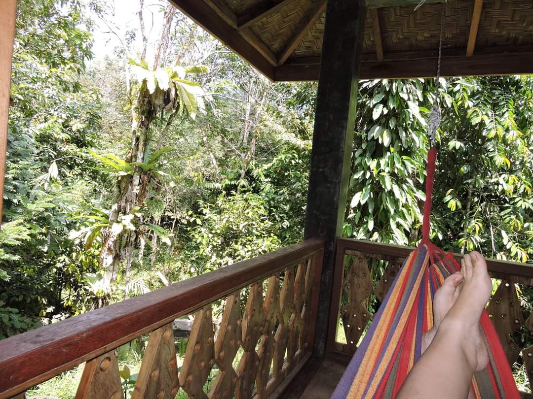 Sumatra Rainforest Eco Retreat Balcony and Hammock