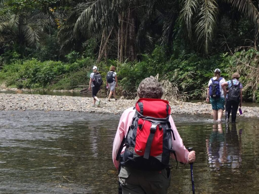 Trekking through the Sumatra jungle and rivers