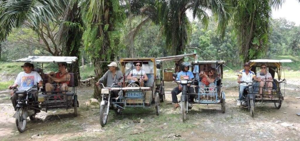 Rice fields and villages tour on tuk tuk