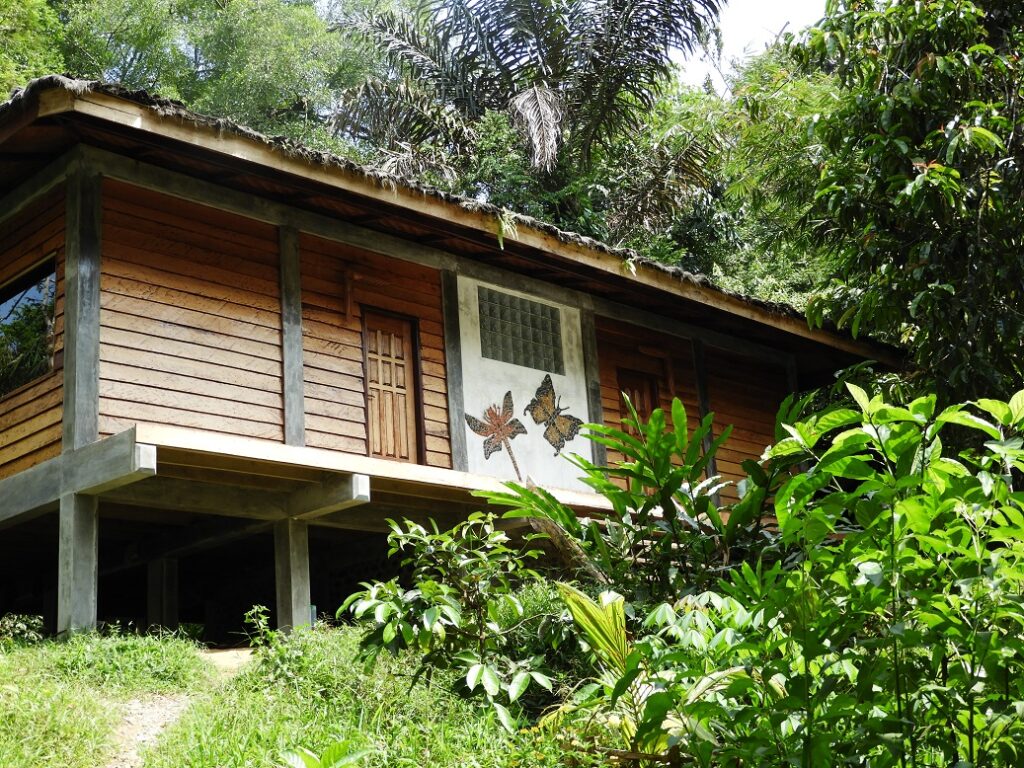 Sumatra Rainforest Eco Retreat Family Rooms